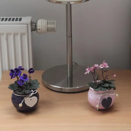 Lilianna Appartement *