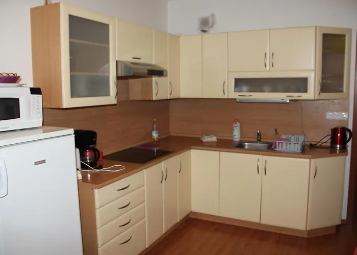 Апартаменты Lilianna Карловы Вары